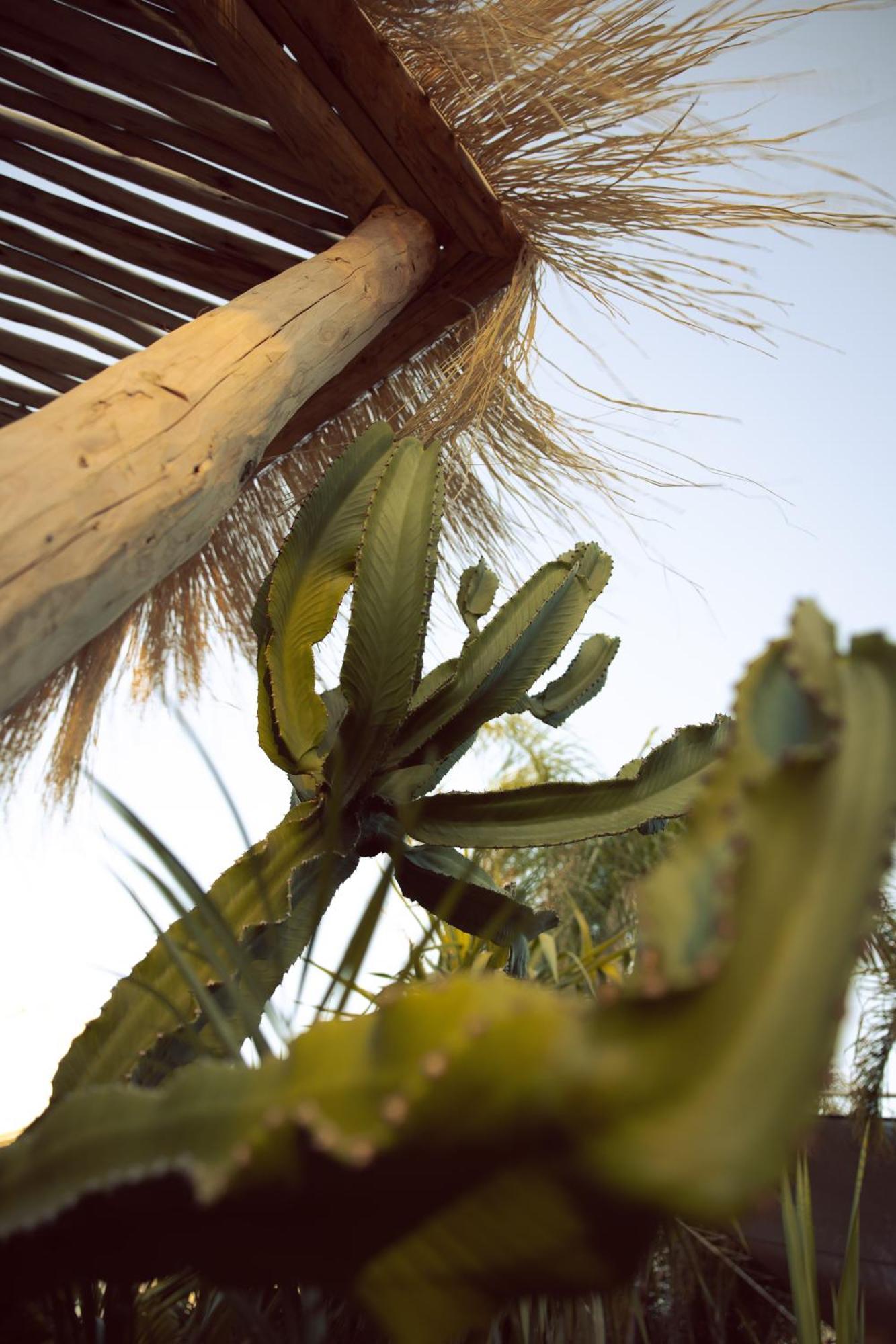 Les Palmiers Boutique Hotel & Spa Marrakesh Exterior foto