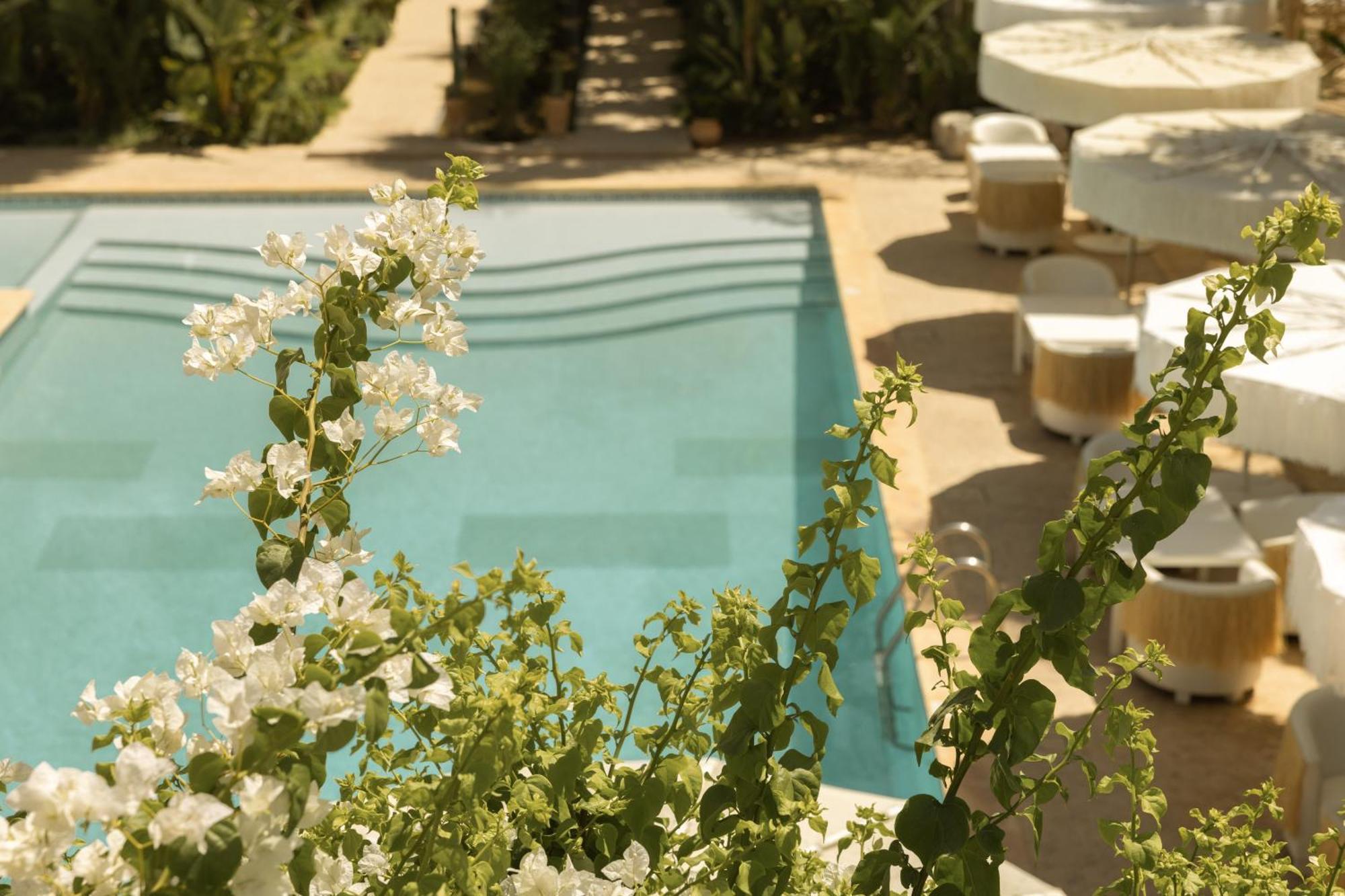 Les Palmiers Boutique Hotel & Spa Marrakesh Exterior foto